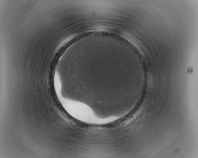 X0000097300826200803141530
