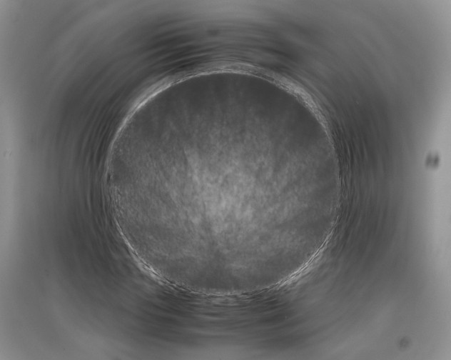 X0000097300827200803141530