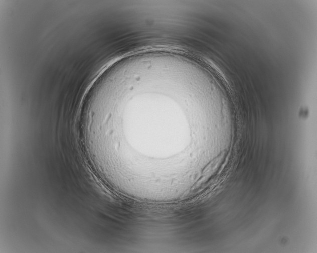 X0000097300828200803141530