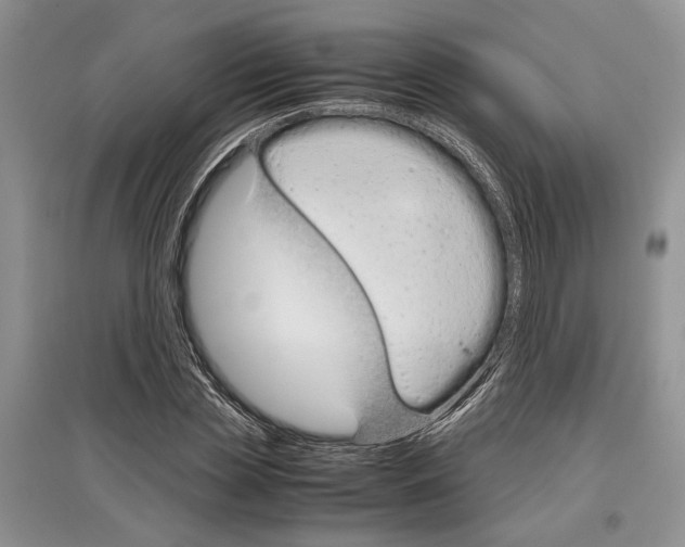 X0000097300829200803141530