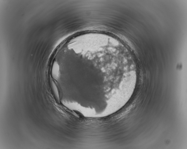 X0000097300830200803141530