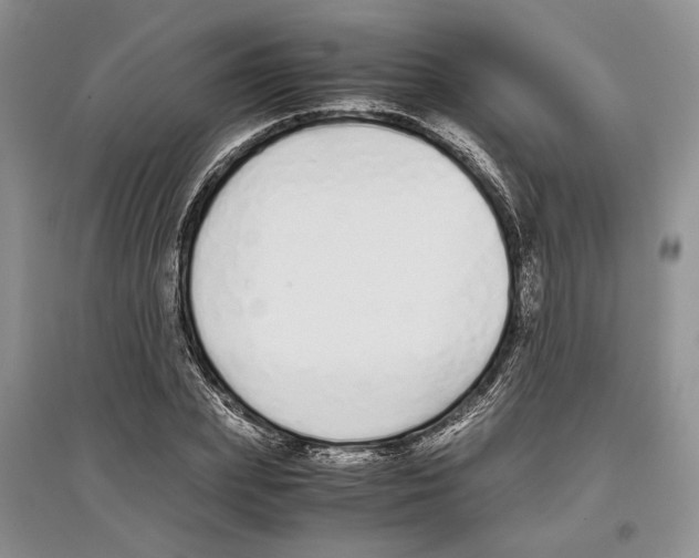 X0000097300831200803141530