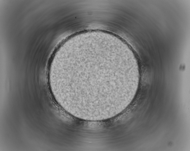 X0000097300832200803141530