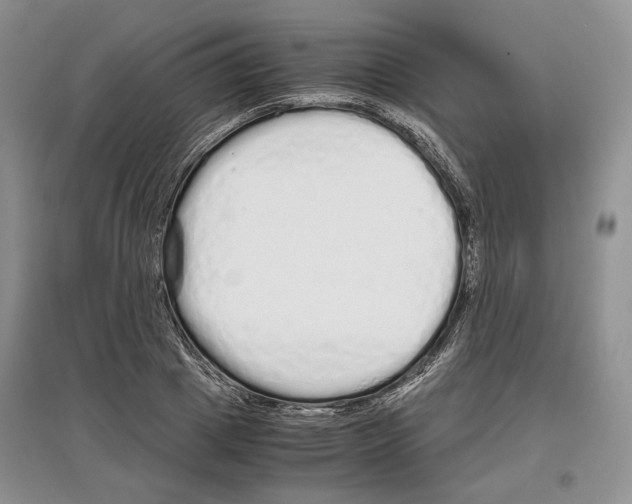 X0000097300833200803141530