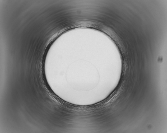 X0000097300834200803141530