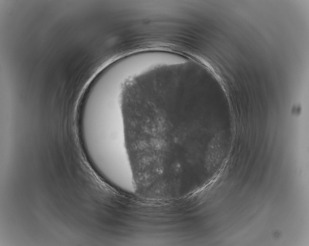 X0000097300835200803141530