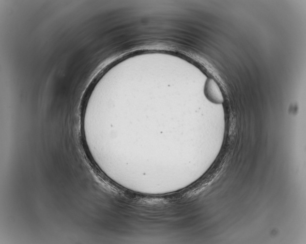 X0000097300837200803141530