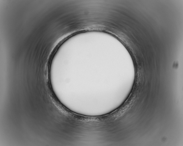 X0000097300838200803141530