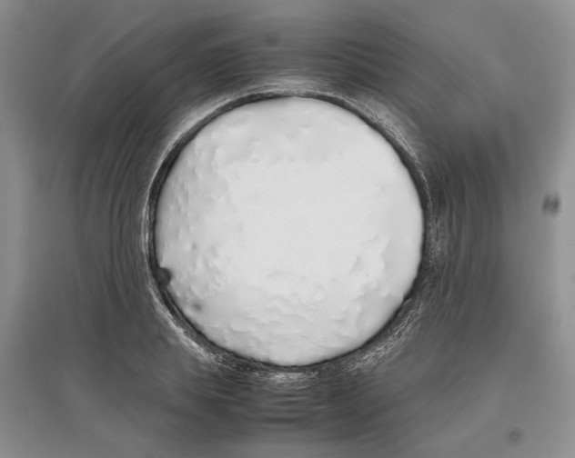 X0000097300839200803141530