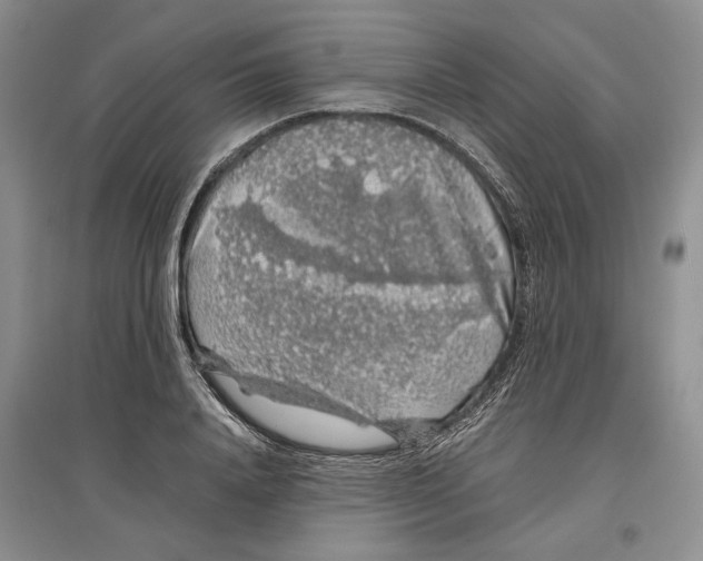 X0000097300840200803141530