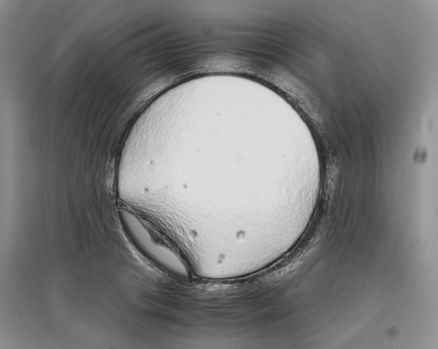 X0000097300841200803141530