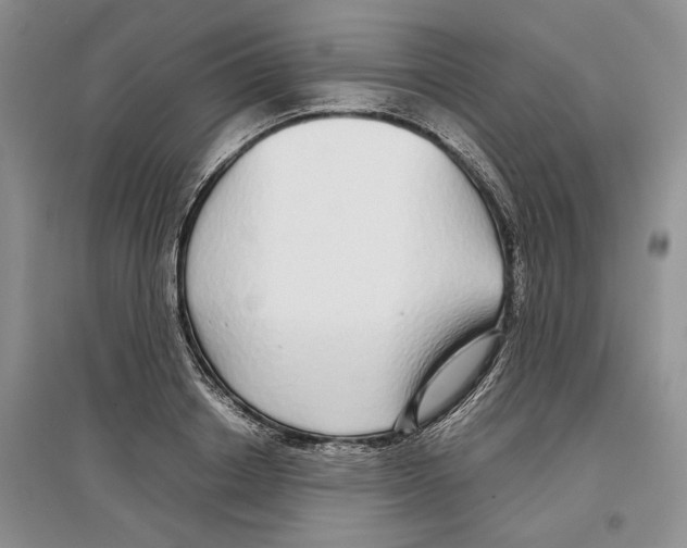 X0000097300842200803141530