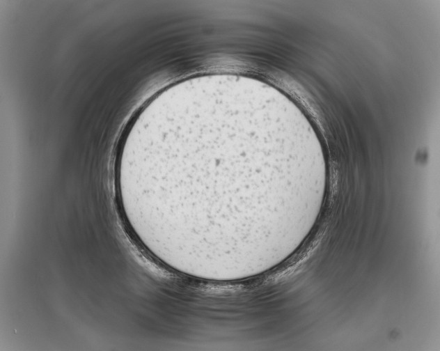 X0000097300843200803141530