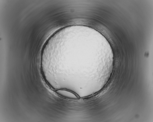 X0000097300844200803141530