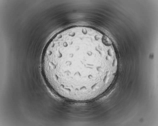 X0000097300845200803141530