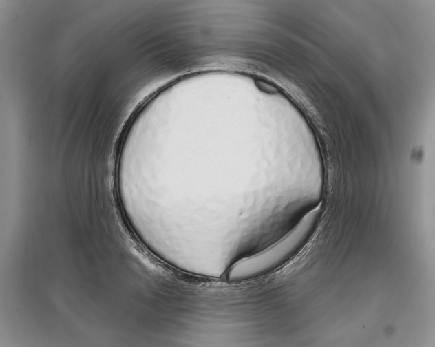 X0000097300846200803141530