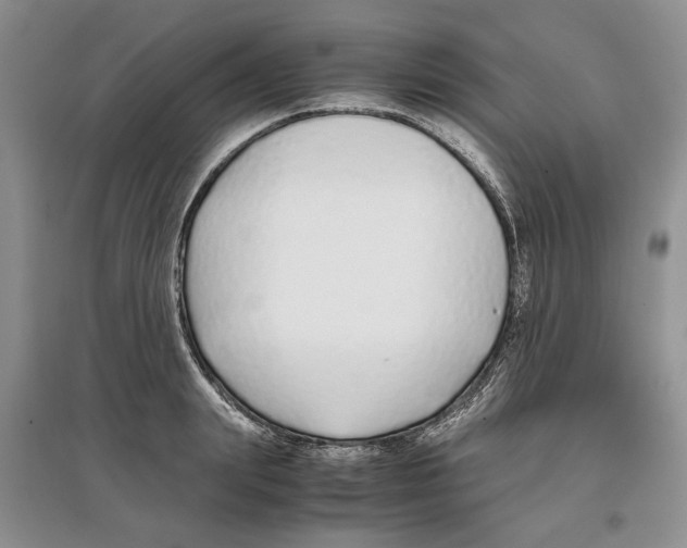 X0000097300847200803141530