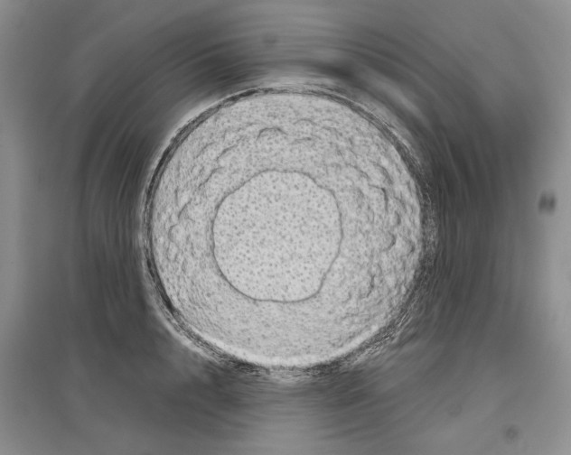 X0000097300848200803141530