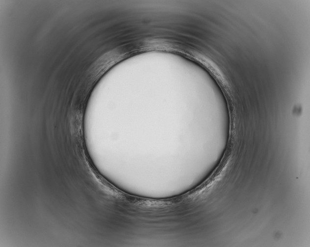 X0000097300849200803141530
