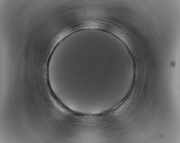 X0000097300850200803141530