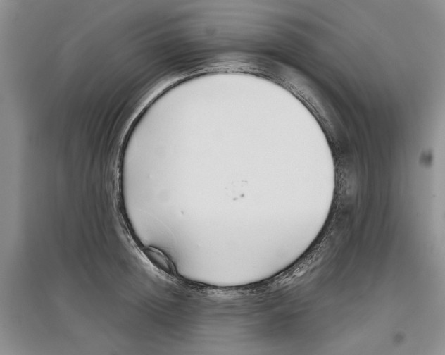 X0000097300852200803141530