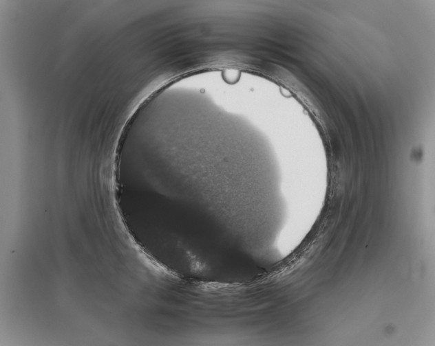 X0000097300853200803141530
