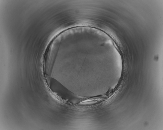X0000097300854200803141530