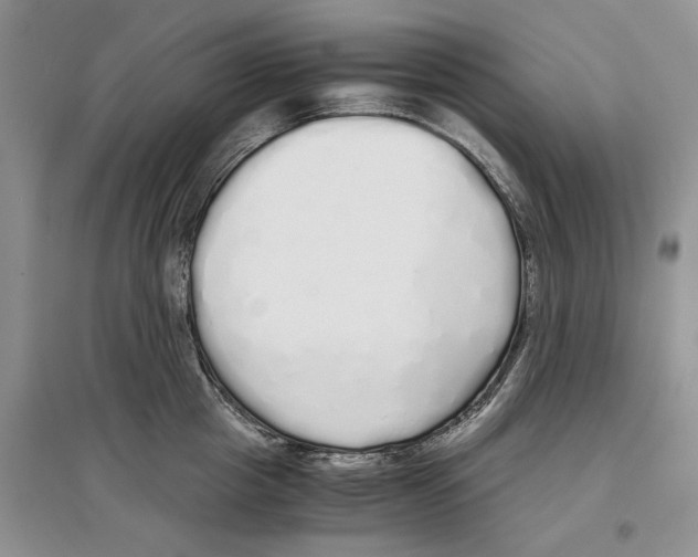 X0000097300857200803141530