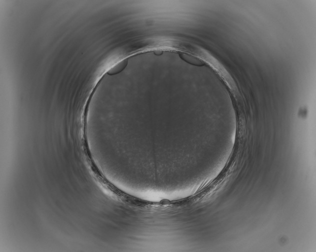 X0000097300858200803141530