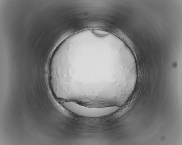 X0000097300859200803141530