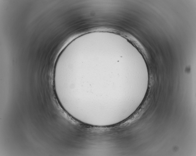 X0000097300860200803141530