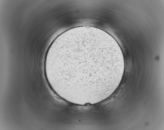 X0000097300861200803141530