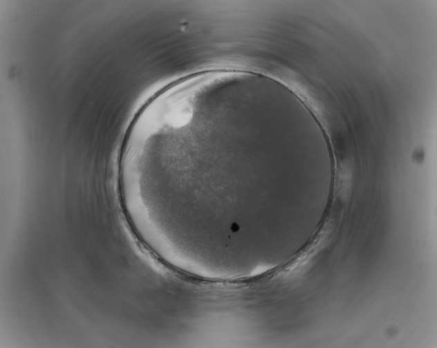 X0000097300862200803141530