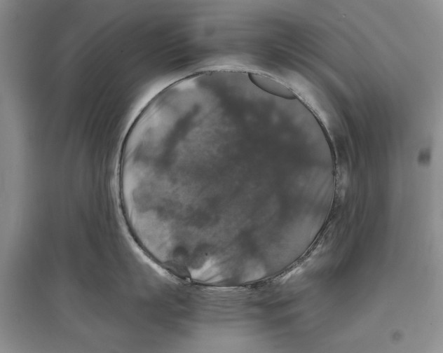 X0000097300863200803141531