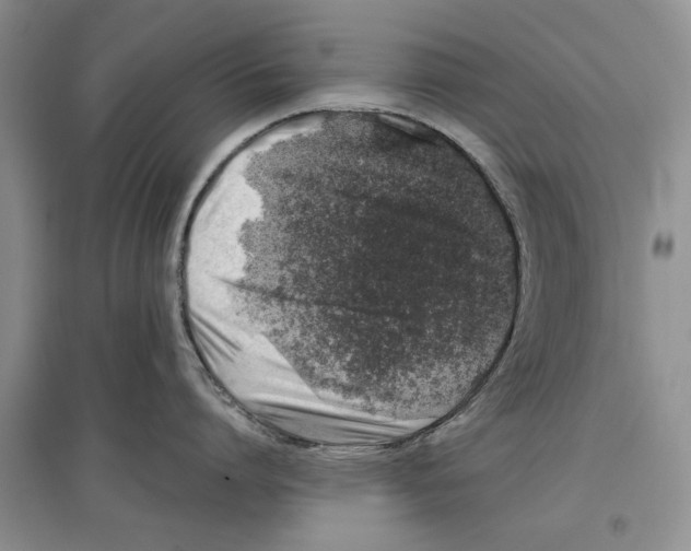 X0000097300864200803141531