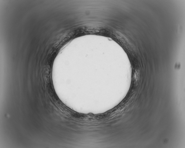 X0000097300867200803141530