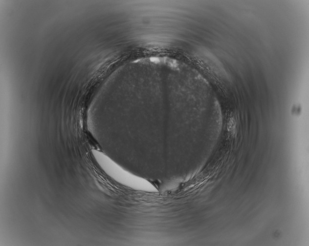 X0000097300868200803141530