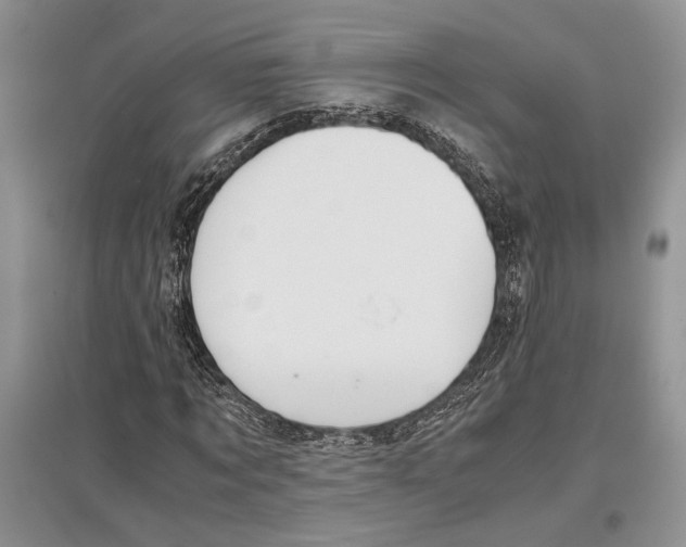 X0000097300869200803141530
