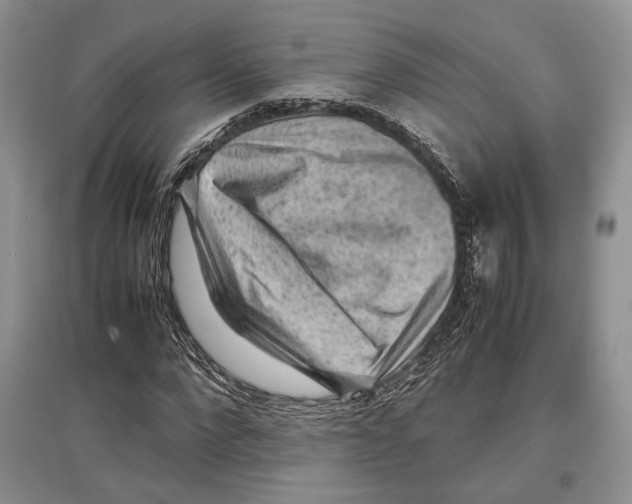 X0000097300872200803141530