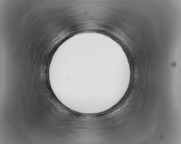 X0000097300873200803141530