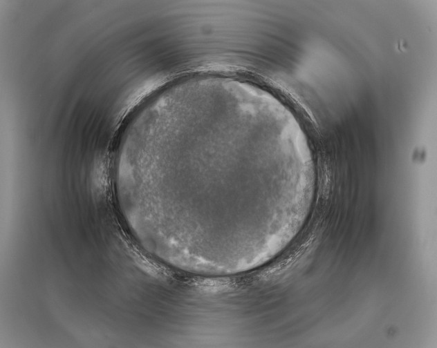 X0000097300874200803141530