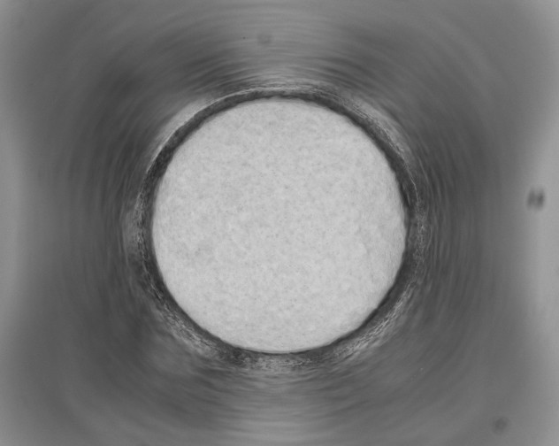 X0000097300875200803141530