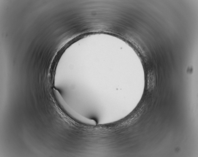X0000097300876200803141530