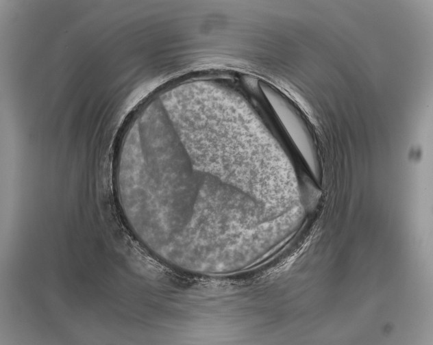 X0000097300877200803141530