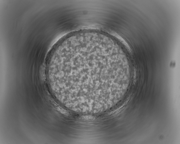 X0000097300878200803141530