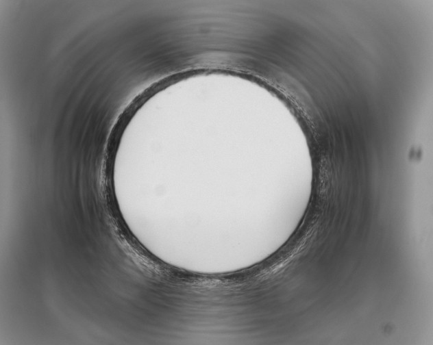 X0000097300880200803141530