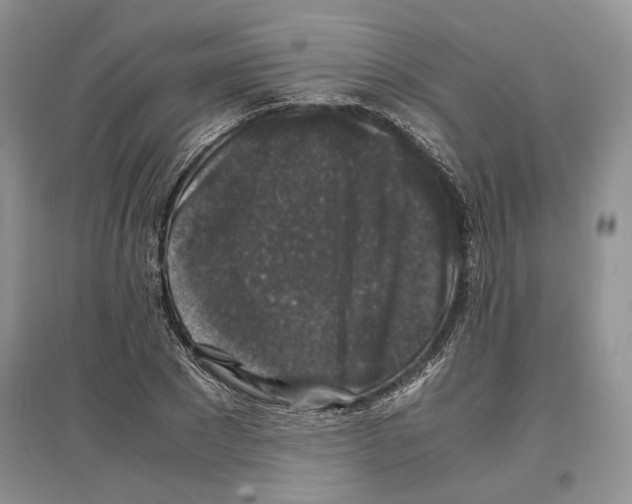 X0000097300881200803141530