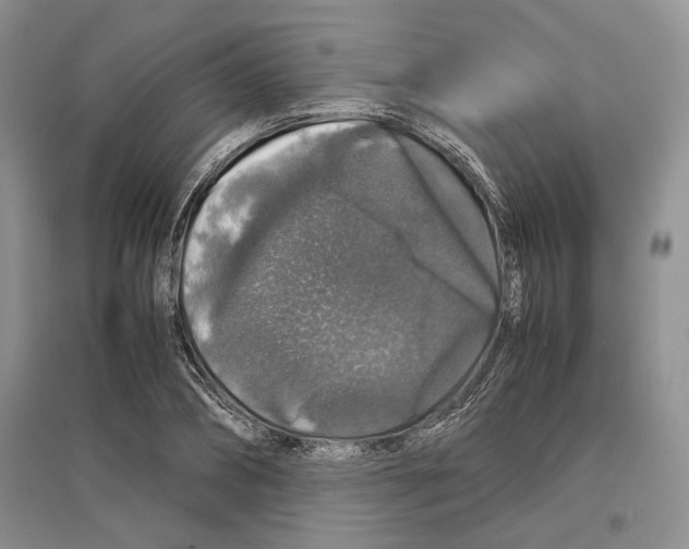 X0000097300882200803141530