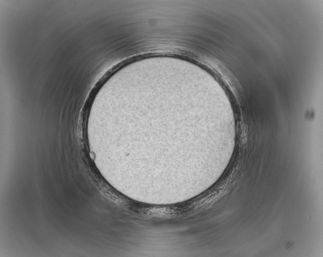 X0000097300883200803141530