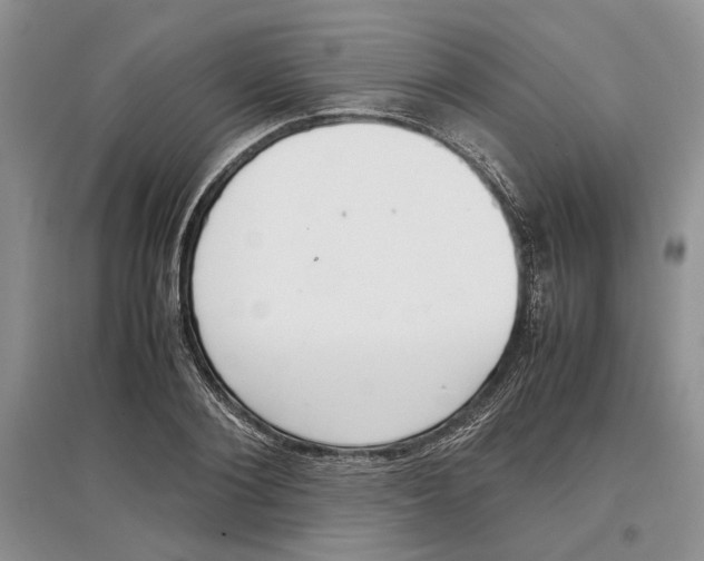 X0000097300884200803141530